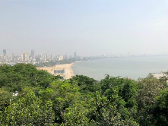 関西空港～インド・ムンバイ向けハンドキャリー2