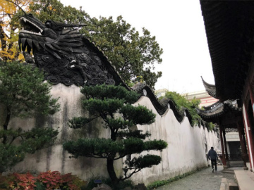 2018-12Shanghai (11)