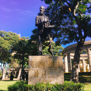 2018-12guadalajara (9)