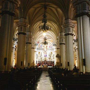 2018-12guadalajara (15)