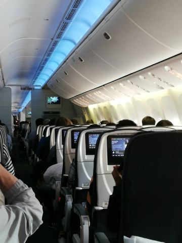 2019－5トロント (7)