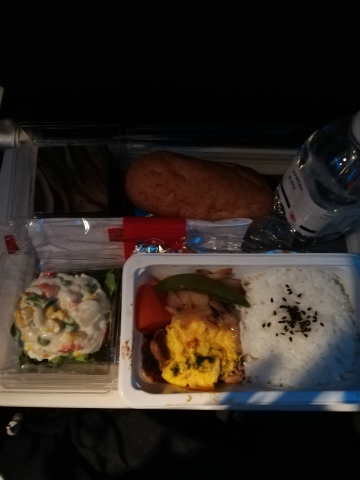 2019－5トロント (8)