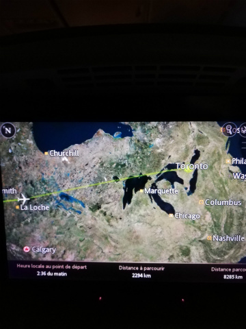 2019－5トロント (10)