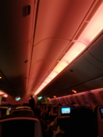 2019－5トロント (11)