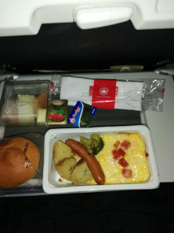 2019－5トロント (12)