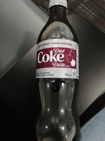 2019-5トロント (25)