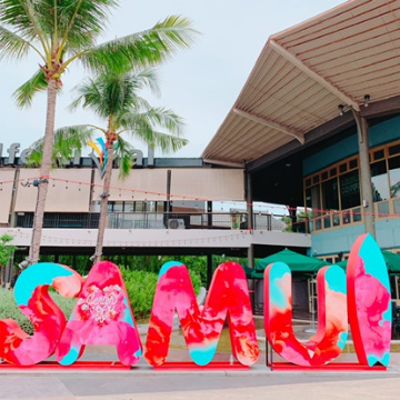 上海浦東空港～タイ・サムイ島向けハンドキャリー2