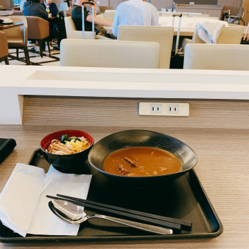 シンガポール～東京ハンドキャリー