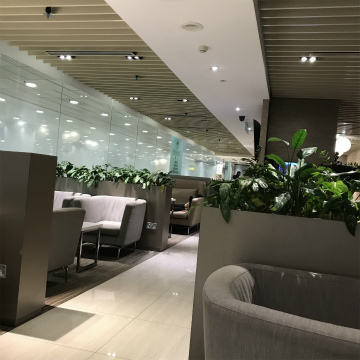 2019-12singapore (7)