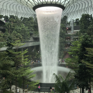 2019-12singapore (16)