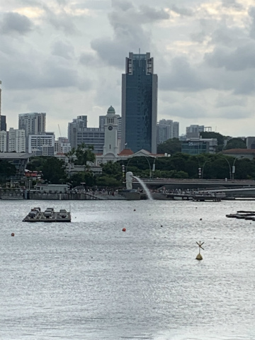 2020-7SINGAPORE (15)