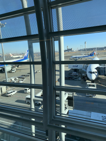 2022-12monterrey (3)