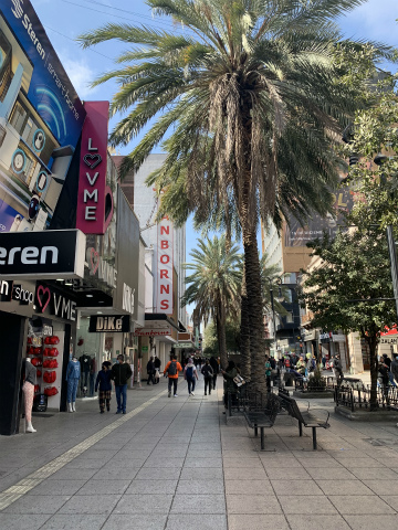 2022-12monterrey (19)