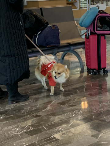 2022-12monterrey (35)