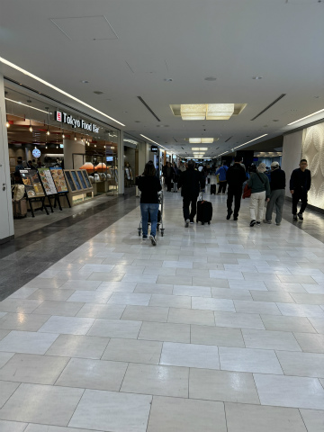 成田空港（NRT)～メキシコシティ空港（MEX）向けハンドキャリー１