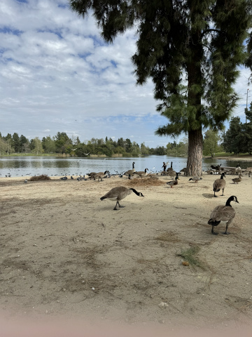 成田空港（NRT）～ロサンゼルス郊外向けハンドキャリー2