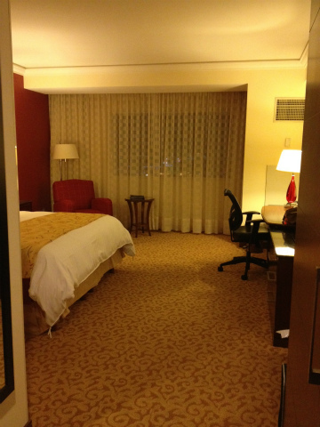 メキシコ・アグアスカリエンテス向けハンドキャリー2